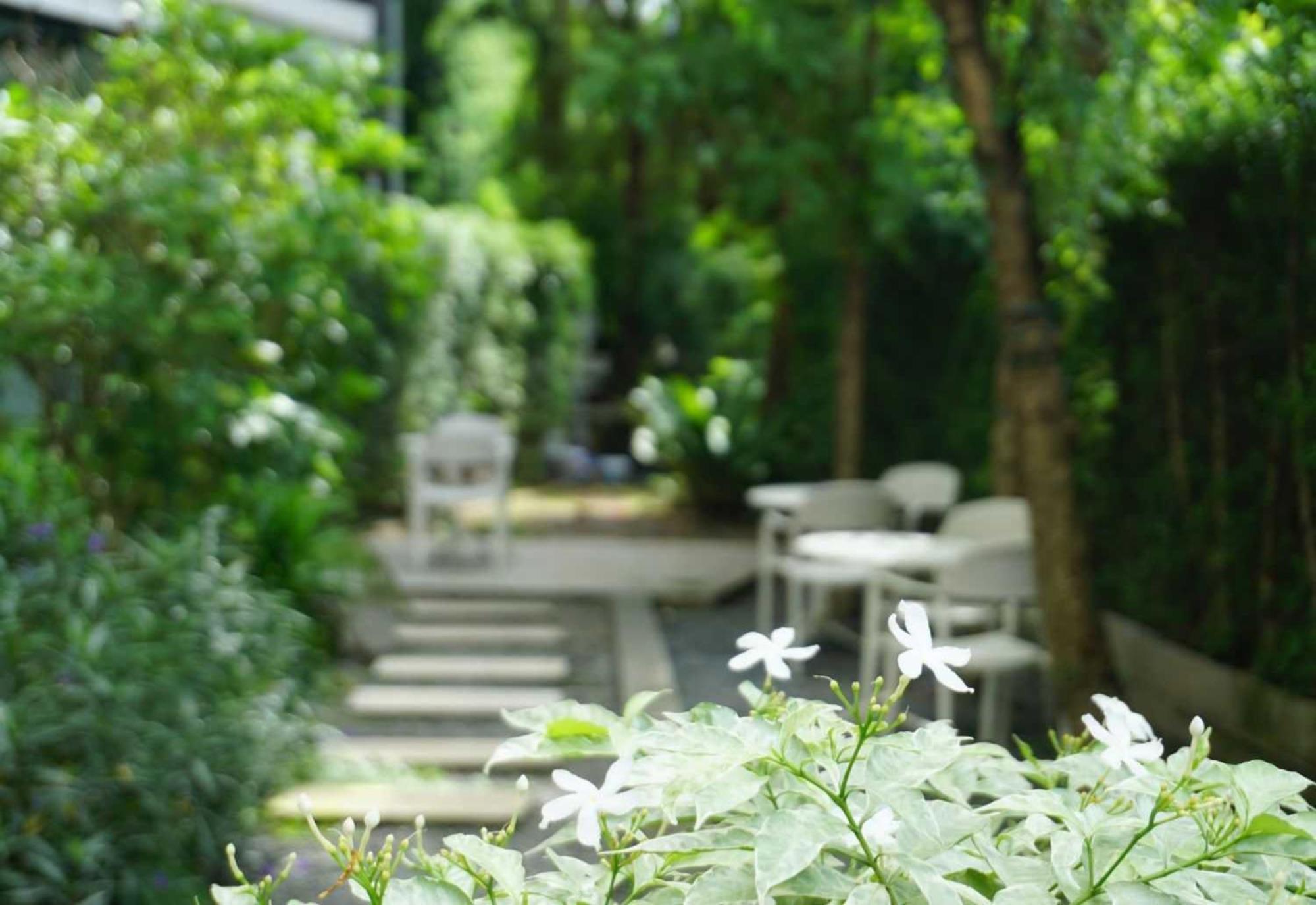 Collection O The Singha Chiangmai Hotel Chiang Mai Exterior foto